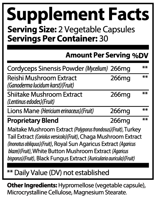 Cognitive Mushroom Stack